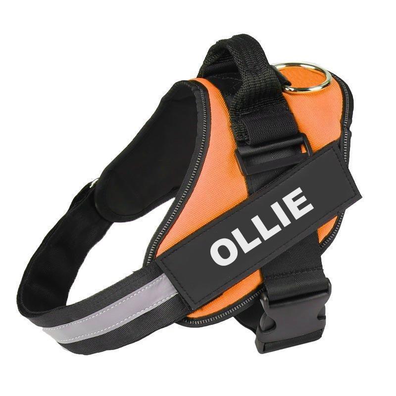LUMORA™ - CUSTOM FIT NO-PULL DOG HARNESS