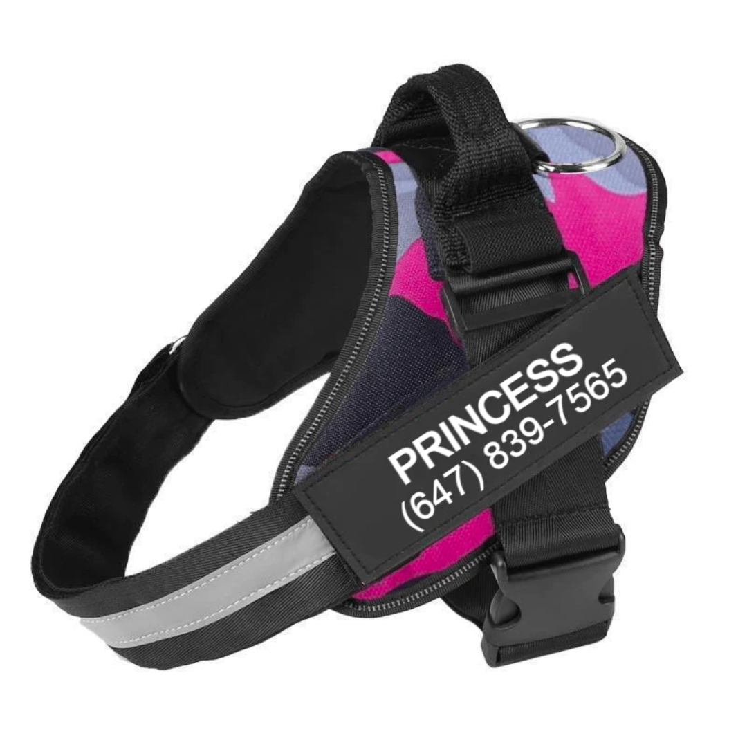 LUMORA™ - CUSTOM FIT NO-PULL DOG HARNESS