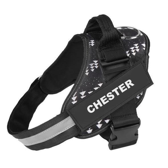 LUMORA™ - CUSTOM FIT NO-PULL DOG HARNESS