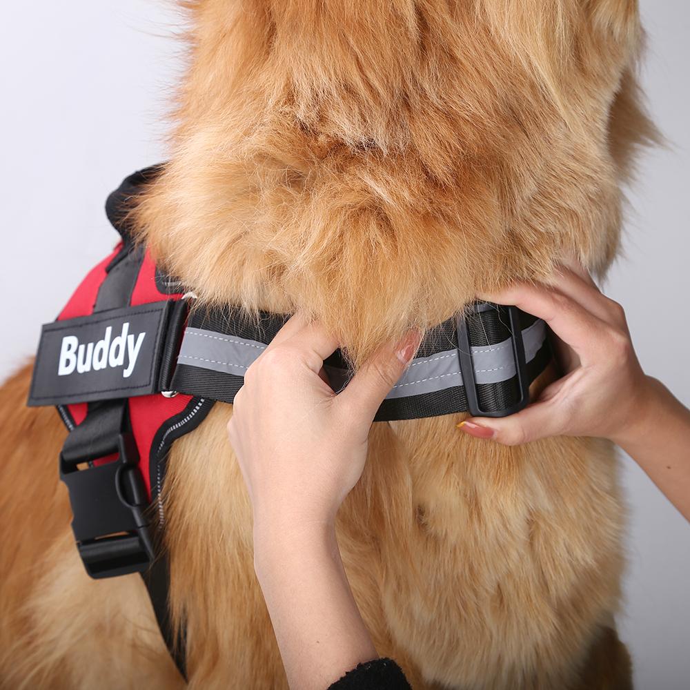 LUMORA™ - CUSTOM FIT NO-PULL DOG HARNESS