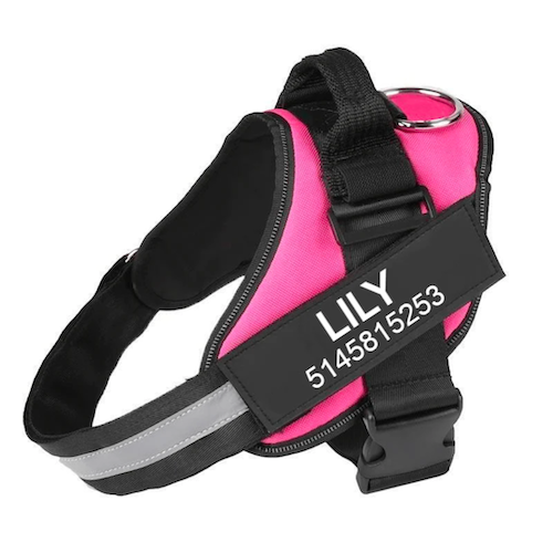 LUMORA™ - CUSTOM FIT NO-PULL DOG HARNESS