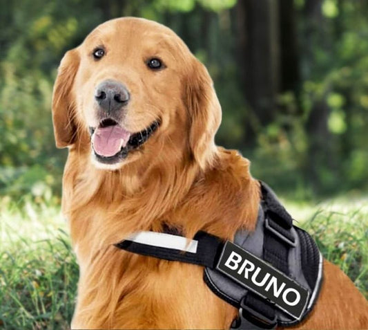 LUMORA™   - CUSTOM FIT NO-PULL DOG HARNESS