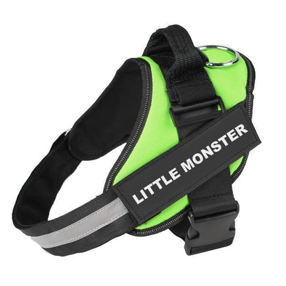LUMORA™   - CUSTOM FIT NO-PULL DOG HARNESS